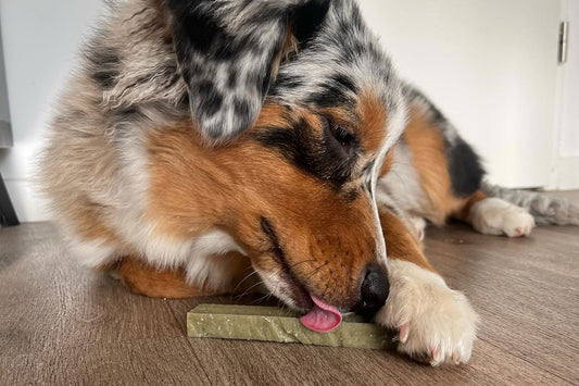 Evident - Barre de fromage himalayenne à la spiruline