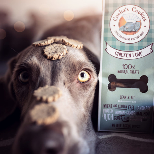 Cooka's Cookies - Chicken Love (Pollo) 100g