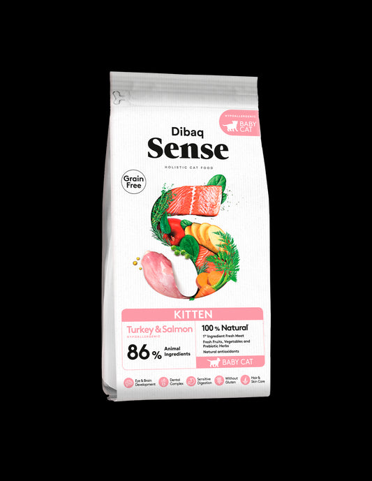 Dibaq Sense - Chaton Pavo