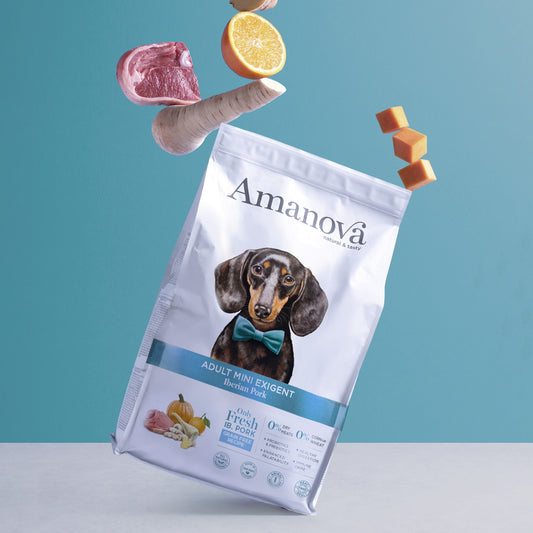 Amanova - Adult Mini Exigent Cerdo Ibérico