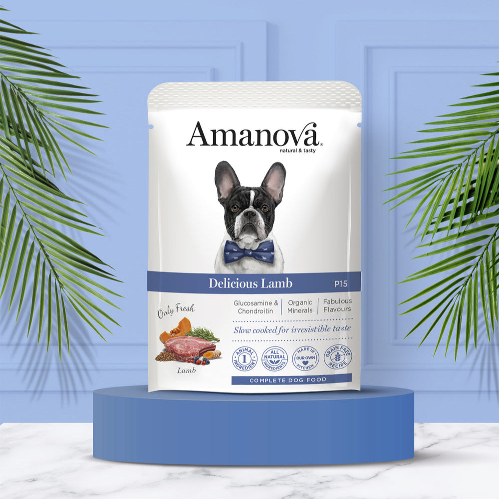 Amanova - Delicious Lamb (Cordero)
