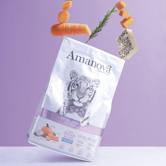 Amanova - Poisson-chat stérilisé