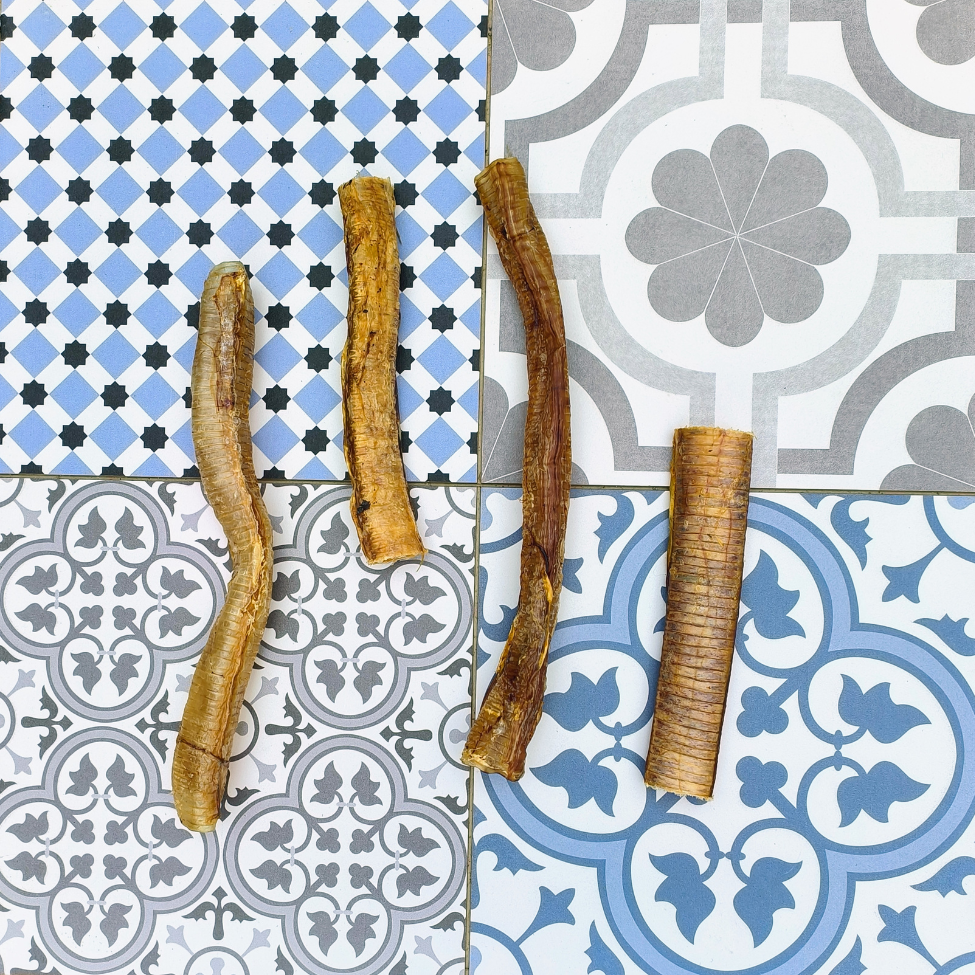 Trachées d'autruche