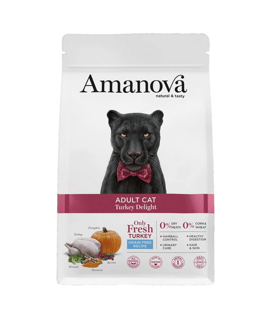 Amanova - Chat adulte Dinde