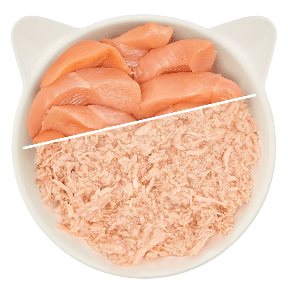 WOW Cat - Filete de Pollo 70gr