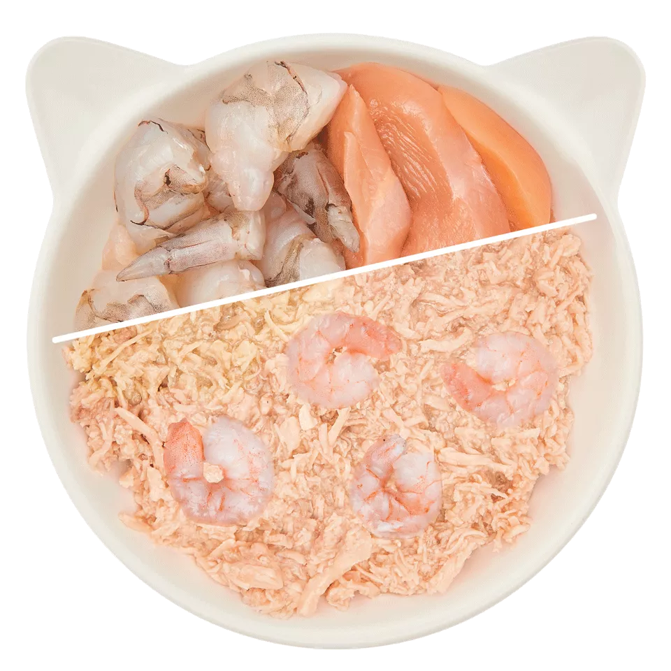 WOW Cat - Filete de Pollo y Gambas 70gr