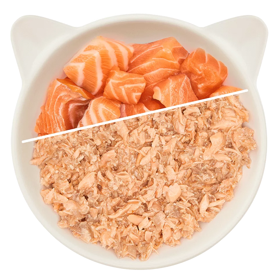 WOW Cat - Filete de Salmón 70gr