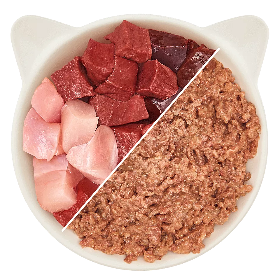 WOW Cat - Vacuno y Pavo en Paté 125gr