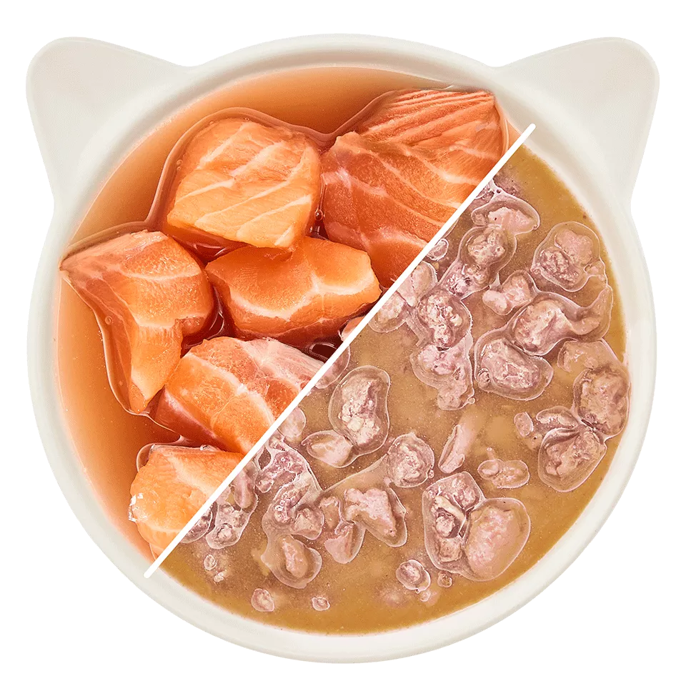 WOW Cat - Salmón en Salsa 85gr