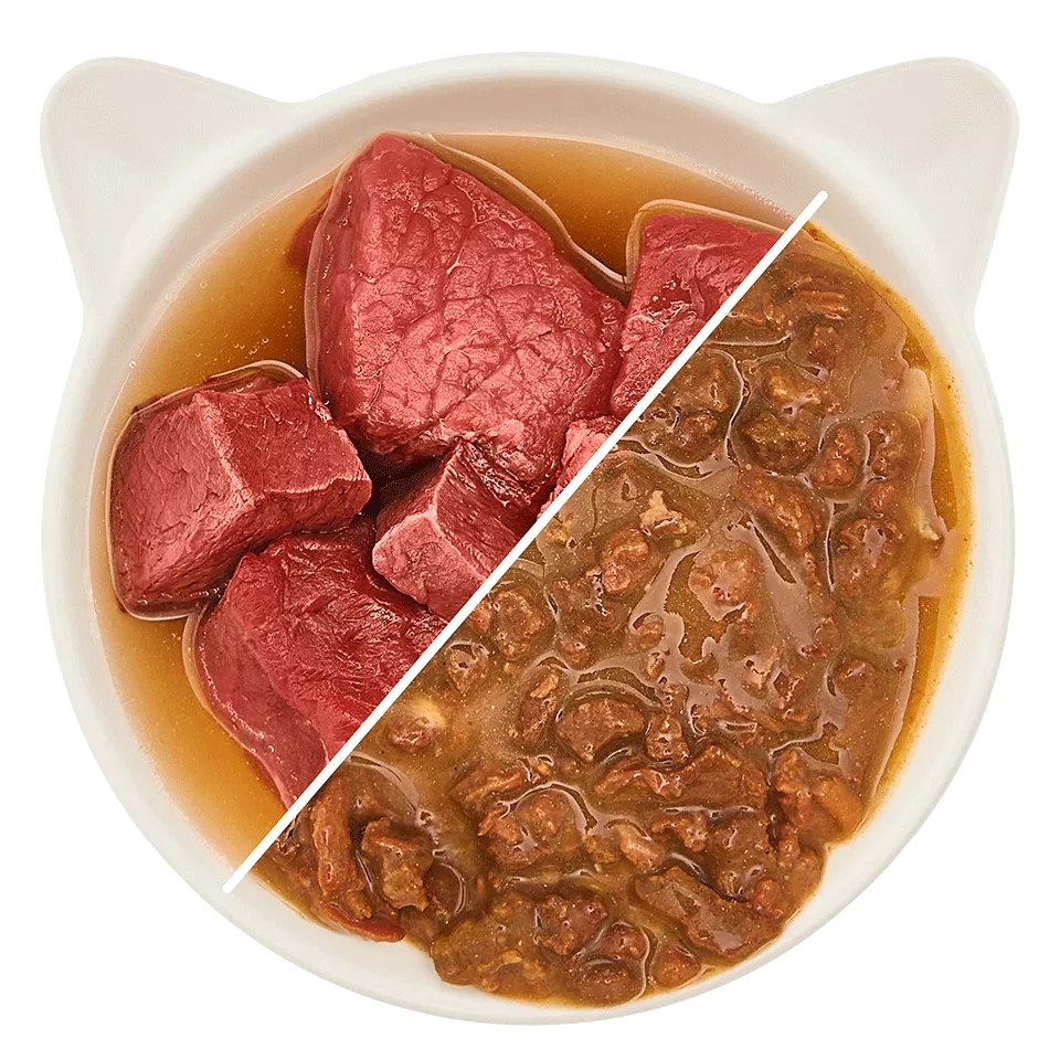 WOW Cat - Vacuno en Salsa 85gr