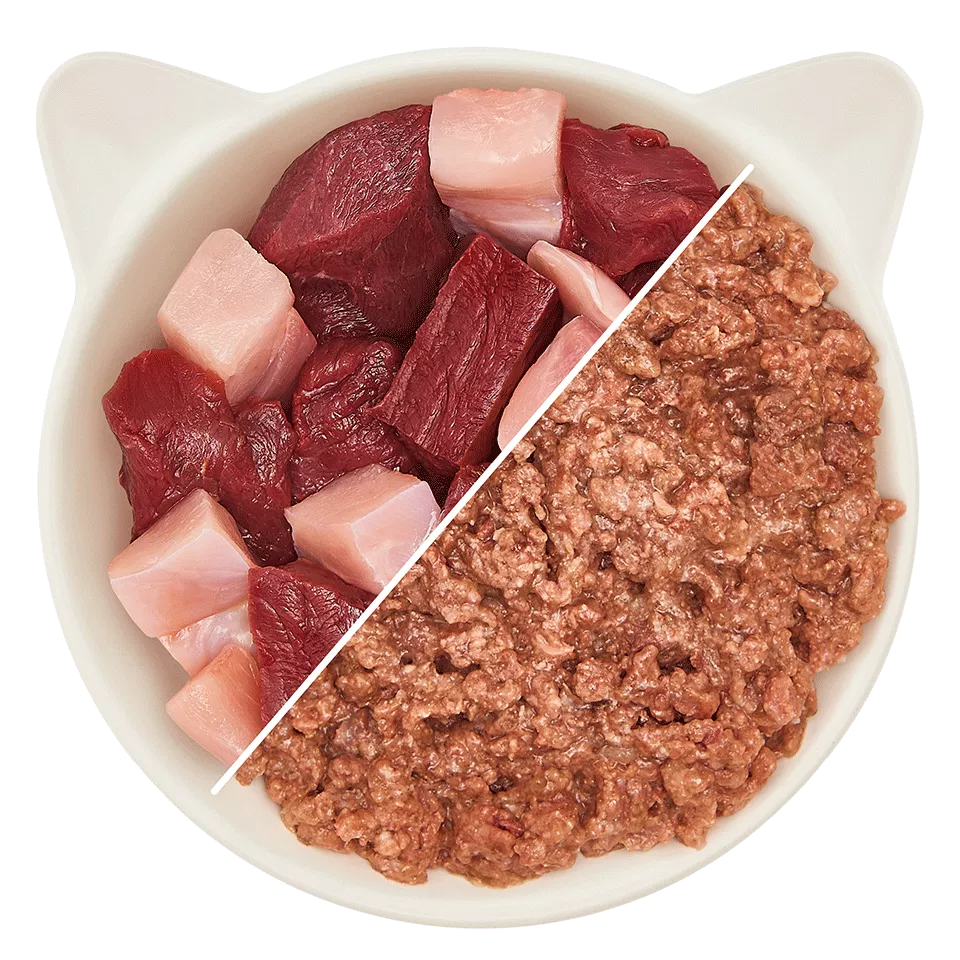 WOW Cat - Venado y Conejo en Paté (Senior) 125gr