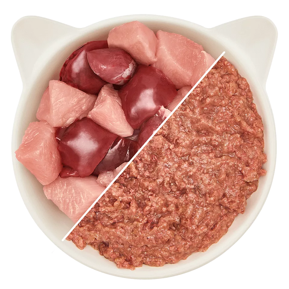 WOW Cat - Ave e Hígado en Paté para Gatitos 125gr