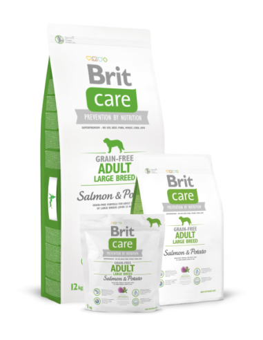 BRIT Care - Adult Large Breed (Salmon & Potato)
