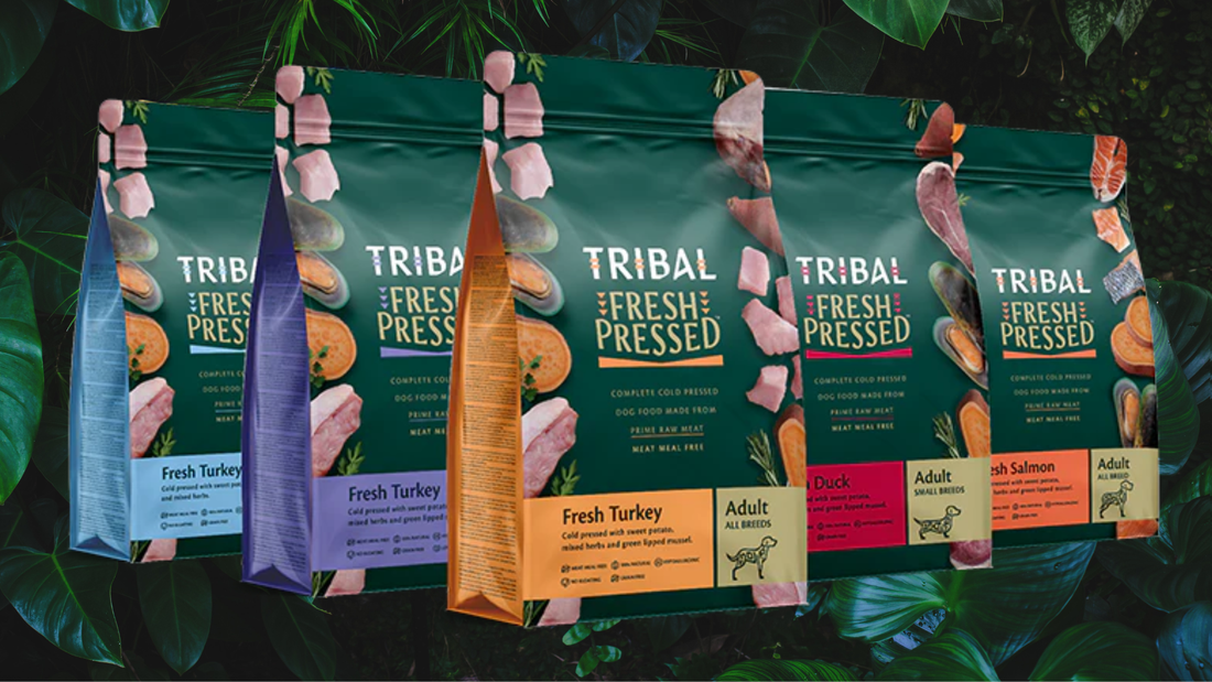 Tribal Fresh Pressed vs pienso tradicional: ¿por qué cada vez más propietarios eligen el prensado en frío?