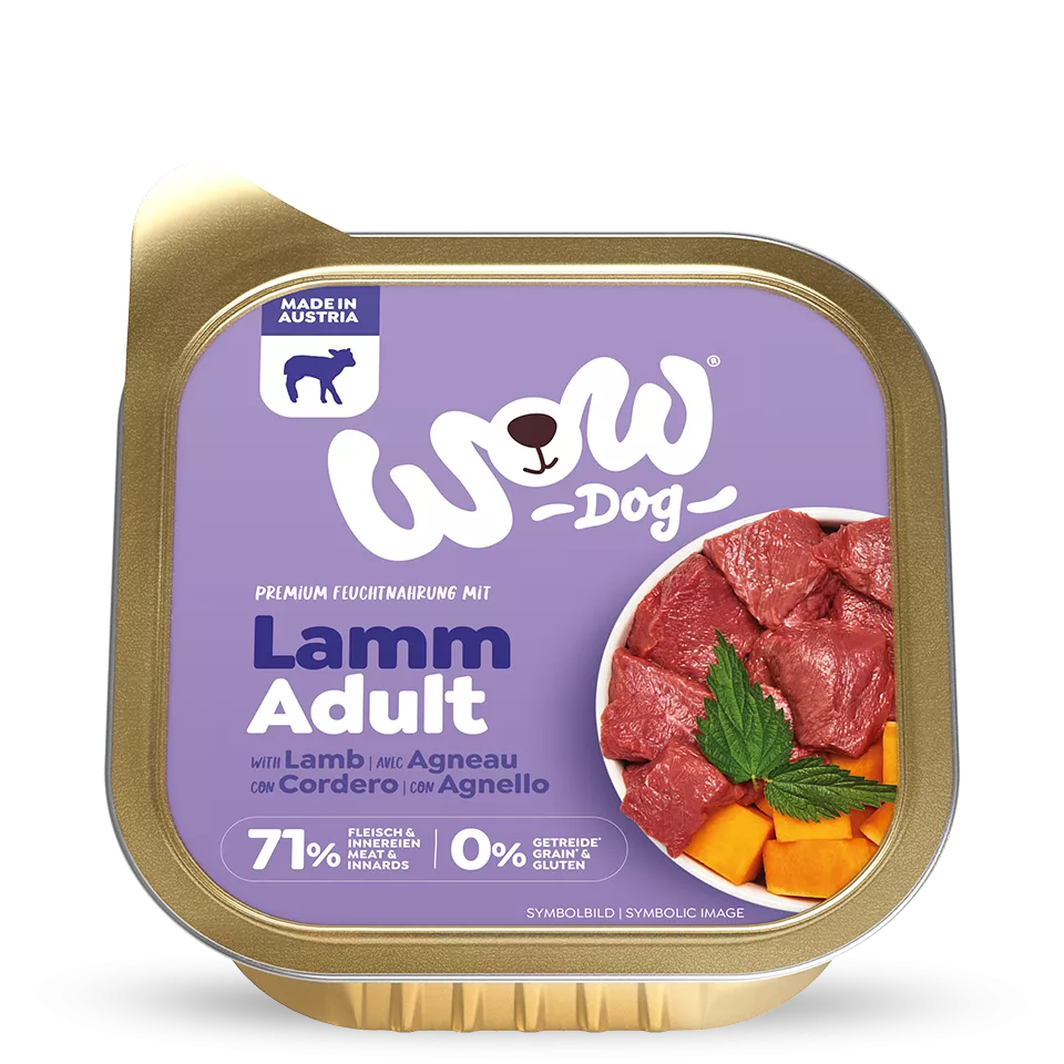 Chien WOW - Agneau