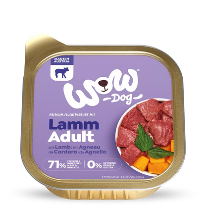 Chien WOW - Agneau