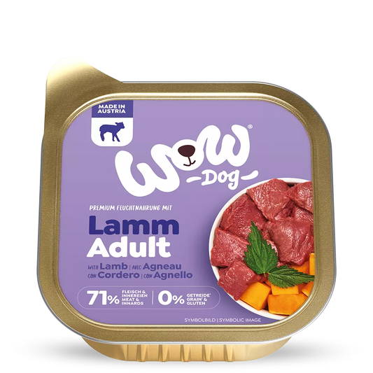 Chien WOW - Agneau
