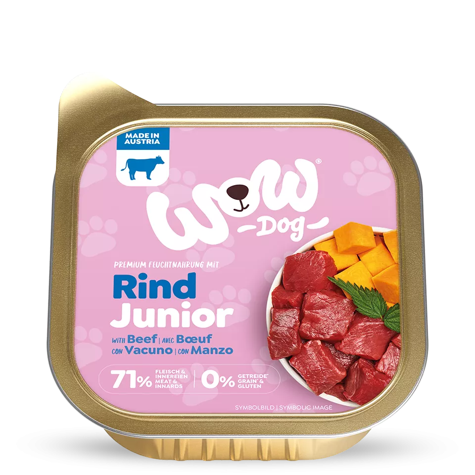 Chien WOW - Bœuf (Junior)