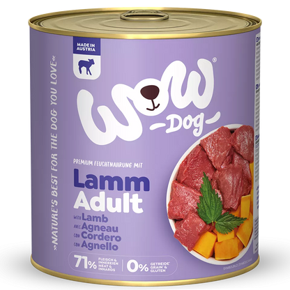 Chien WOW - Agneau