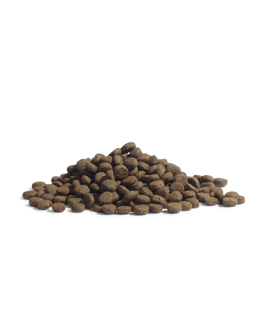 Essential Foods The Panther – Pienso de Pescado para Gatos Esterilizados
