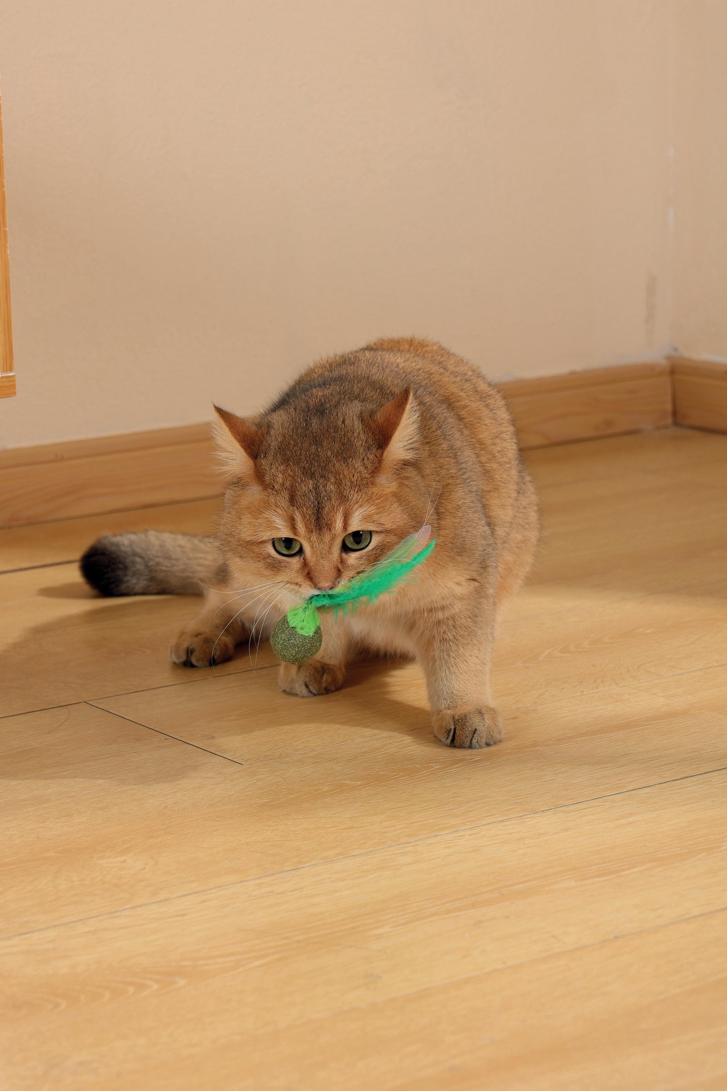 M-PETS - Charmy Firefly par Catnip
