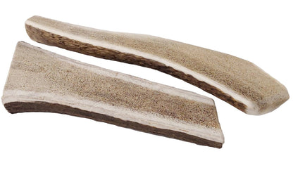 Asta de Ciervo Partida