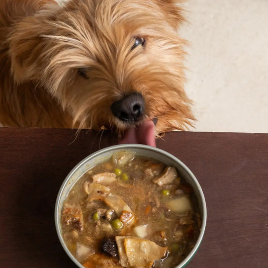 Wild Balance - Cazuela casera de Cerdo y Calabaza 280g