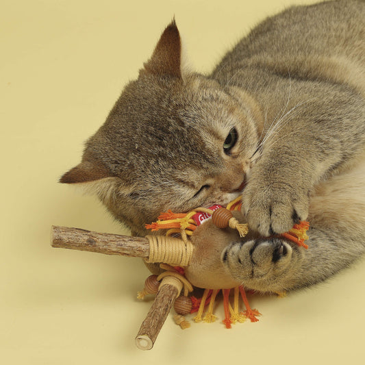 GiGwi - Léon avec Matatabi Eco Line