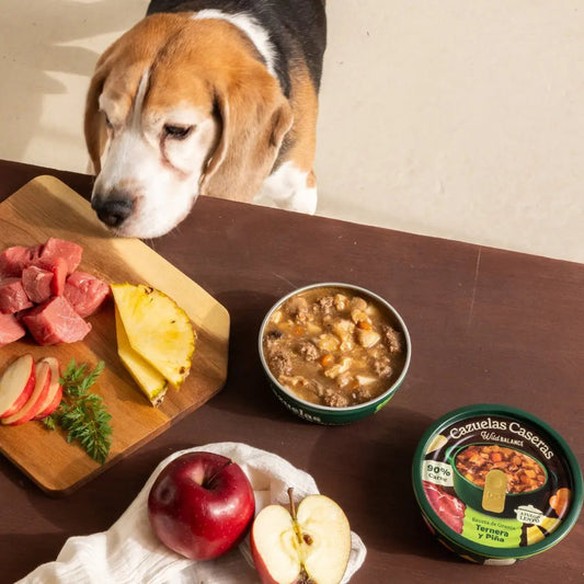 Wild Balance - Cazuela casera de Ternera y Piña 280g