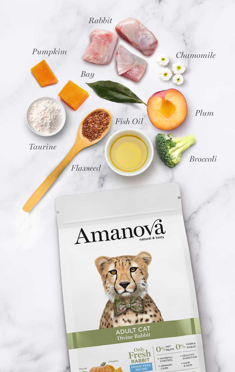 Amanova - Chat Lapin Adulte