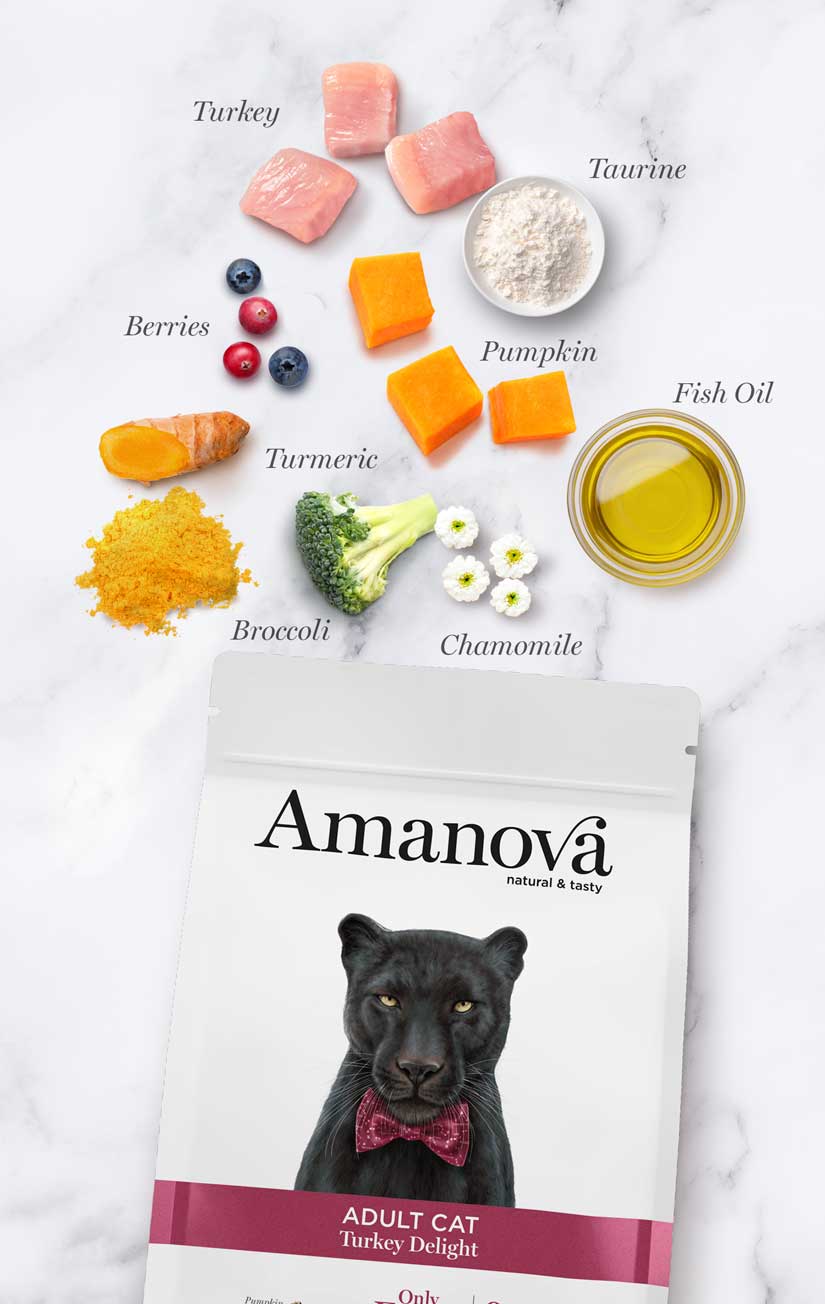 Amanova - Gato Adulto Pavo