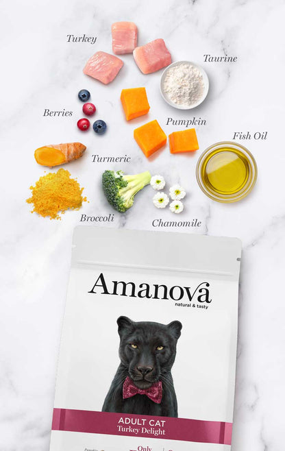Amanova - Gato Adulto Pavo