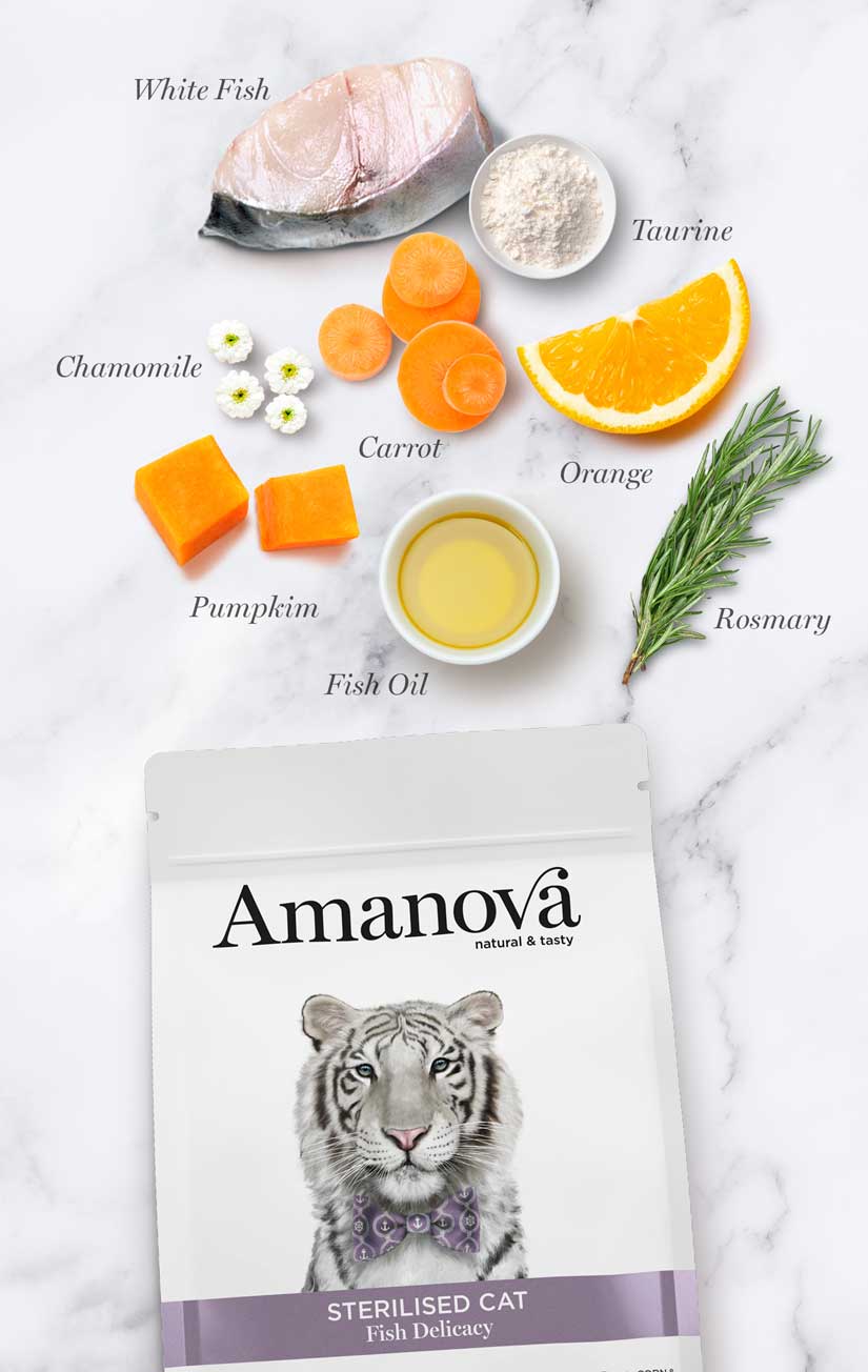 Amanova - Gato Esterilizado Pescado