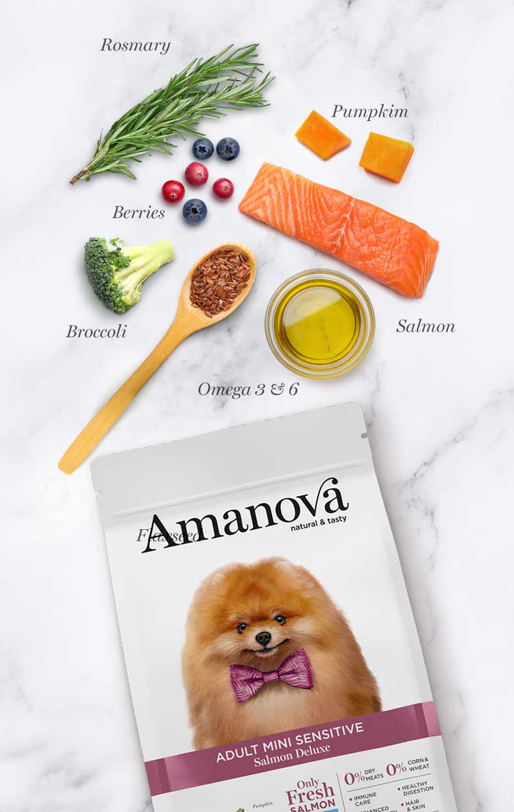 Amanova - Adult Mini Sensitive Salmon