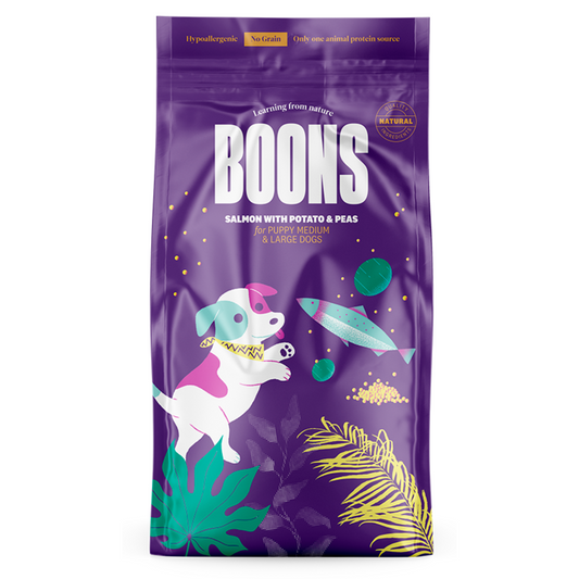 BOONS - Salmón con Patatas y Guisantes CACHORRO