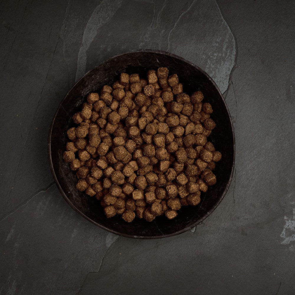 Canagan - Pavo campero Prodental (Con PlaqueOff®)