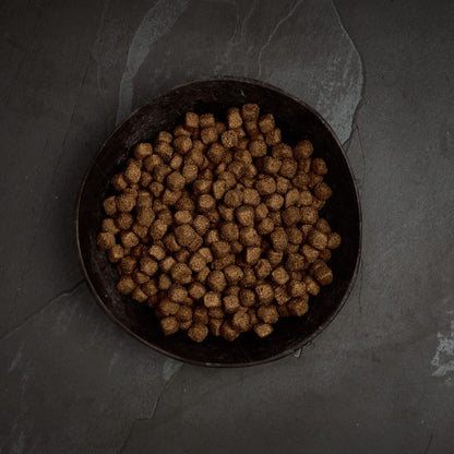 Canagan - Pavo campero Prodental (Con PlaqueOff®)