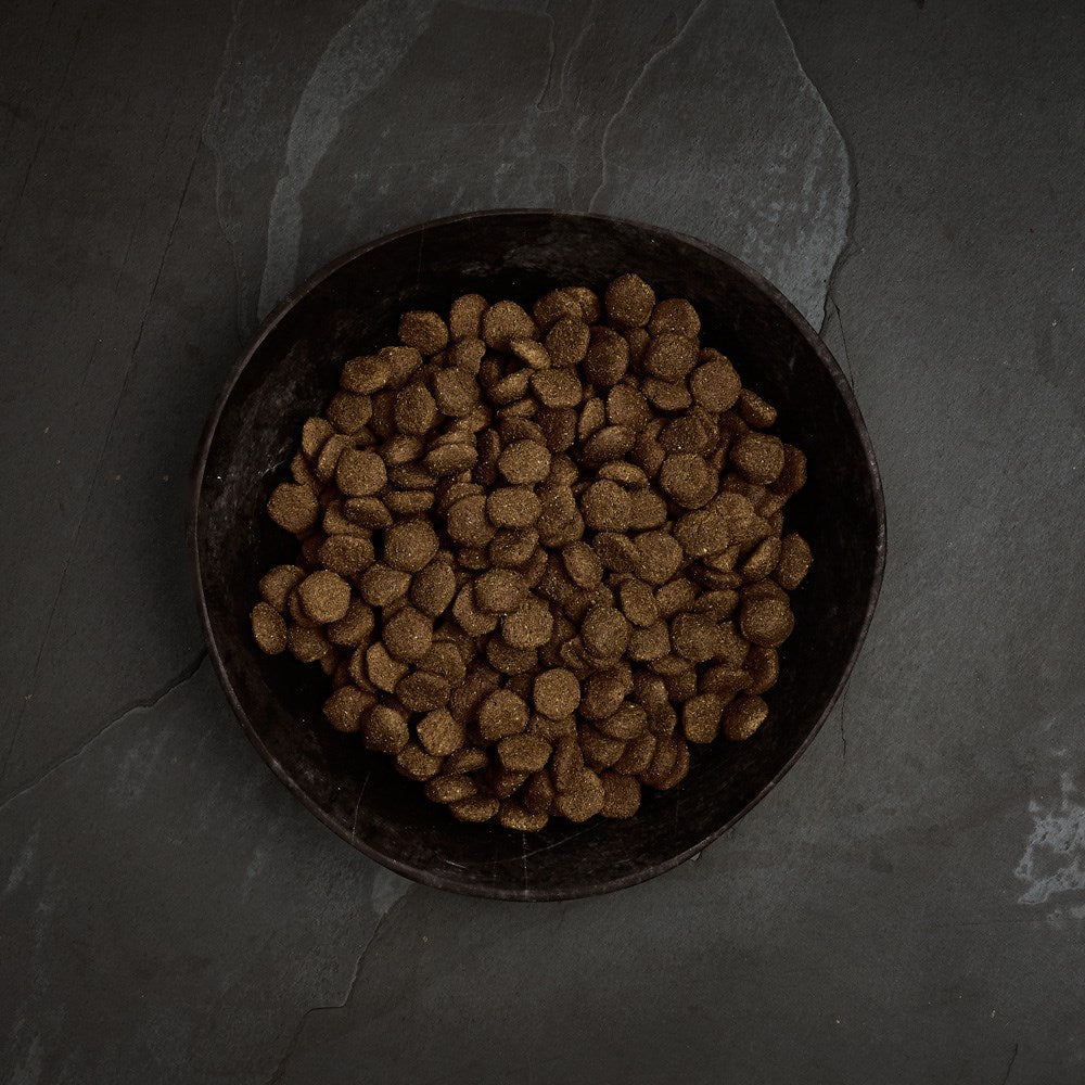 Canagan - Salmón escocés