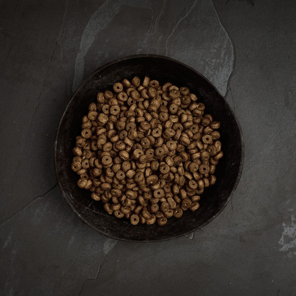 Canagan - Salmón escocés para perros pequeños