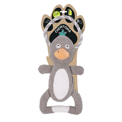 M-PETS - Chewtopia Eco Dog Toy Duck