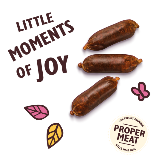Lily's Kitchen Scrumptious Duck & Venison Sausages – Salchichitas de Pato y Venado para Perros