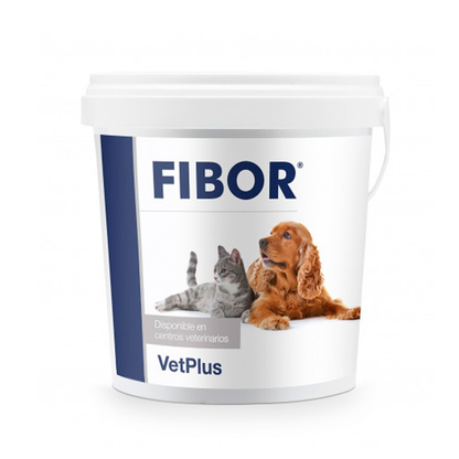Fibor