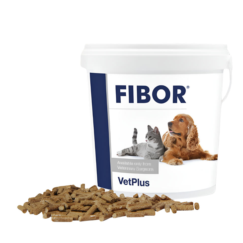 Fibor
