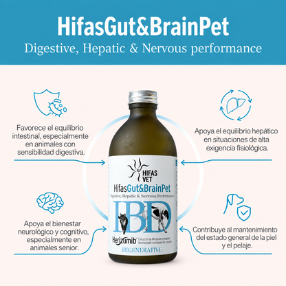 Hifas Gut&Brain Pet – Suplemento Premium Digestivo, Hepático y Cognitivo para Perros y Gatos