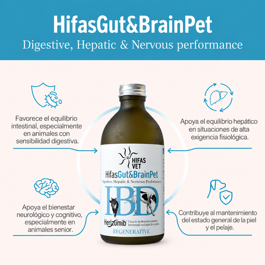 Hifas Gut&Brain Pet – Suplemento Premium Digestivo, Hepático y Cognitivo para Perros y Gatos