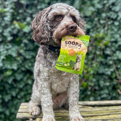 Soopa - Bouchées saines de chou frisé et de pomme (Bouchées) 50 g