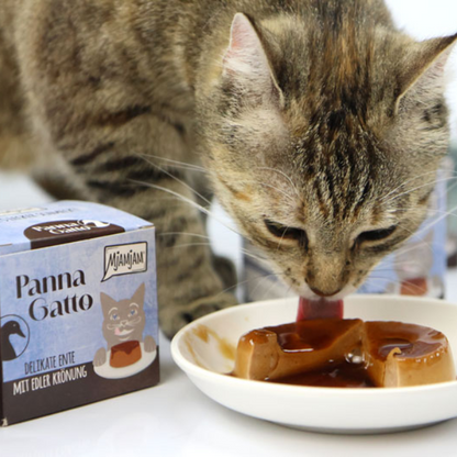MjAMjAM - Panna Gatto à la Dinde 2x80g