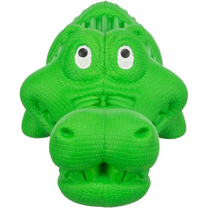 Crocodile Snack
