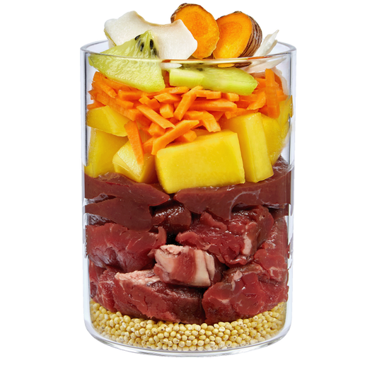 Terra Canis Love the Planet – Bœuf gardien du soleil à la noix de coco 400 g