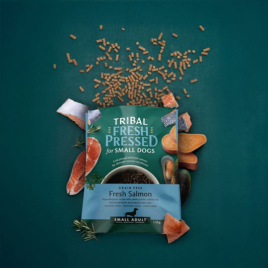 Tribal (Prensado en Frío) - Adult MINI Salmón Fresco